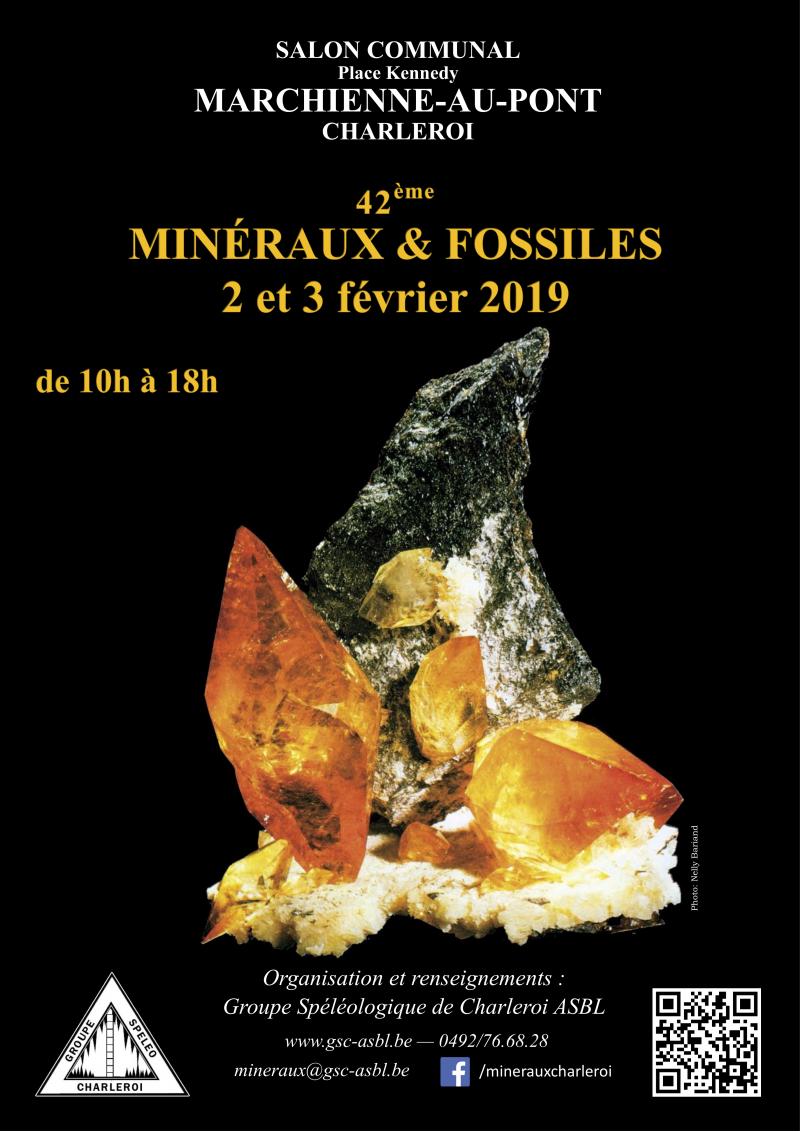 Salon Minéraux & Fossiles de Charleroi 2019