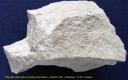 Rhyolite (Les Chazes - Cantal))