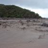 lahar dans la Belham river