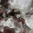 Gal�ne
