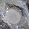 Phillipsite