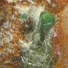Cornubite