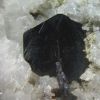 Ilmenite