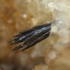 Goethite
