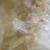 Cerusite