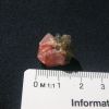 Fluorine rose