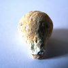 FOSSILE 05 2008-03.jpg FOSSILE 05 2008-03.jpg