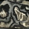section de blende en cocarde ( huelgoat)