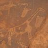 namibie �chantillon alex 098.jpg