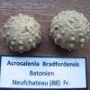 Afbeelding 002.jpg Afbeelding 002.jpg