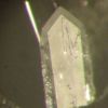 Laurionite Laurionite