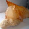 calcite elmwood 29cm calcite elmwood 29cm