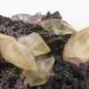 Calcite et fluorite sur sphalérite, Elmwood Mine, Tennessee, Etats-Unis. Calcite et fluorite sur sphalérite, Elmwood Mine, Tennessee, Etats-Unis.