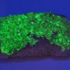 Autunite sous UV longs, Les Oudots Morvan Autunite sous UV longs, Les Oudots Morvan