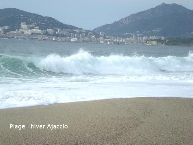 les_vagues_ce_matin_13_12_2008_sur_la_plage_de_Campo_dell__oro.jpg