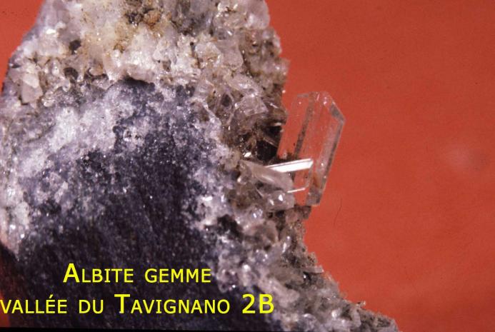 Image attach�e: albite_du_tavignano_copie.jpg