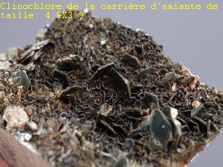 Image attachée: clinochlore_de_la_carri_re_de_Canari.jpg
