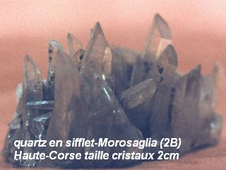 quartz_de_Morosaglia.jpg