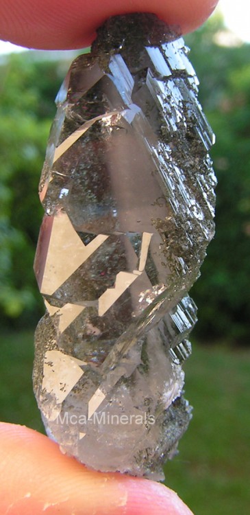 Geo Savoie 3.jpg