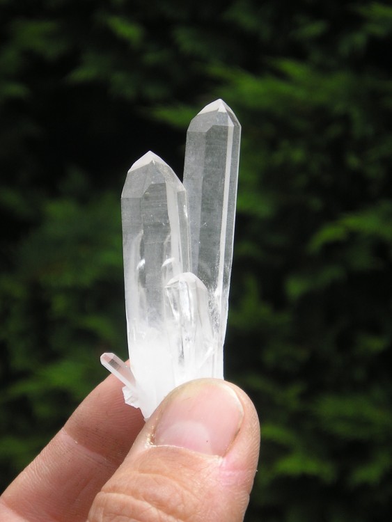 Quartz_Massif_du_Mont_Blanc.jpg