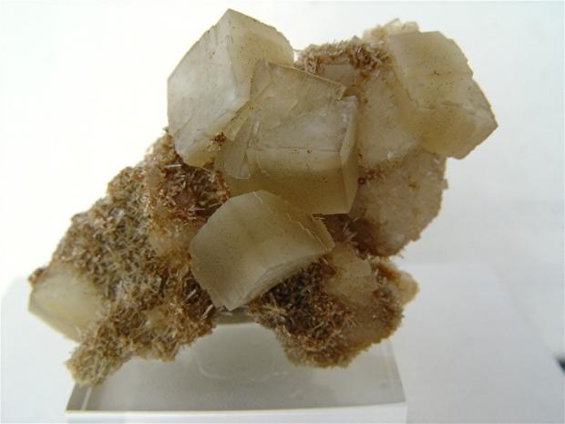 prehnite_diopside.jpg