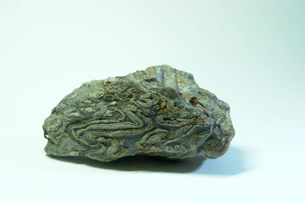 Migmatite ? Roche et pétrographie Géoforum