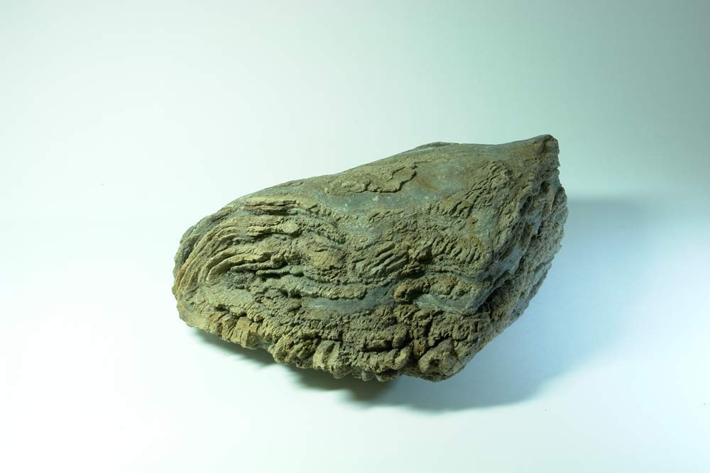 Migmatite ? Roche et pétrographie Géoforum