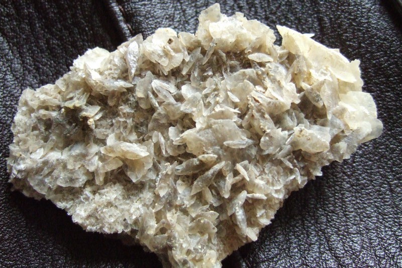 GYPSE_029.jpg