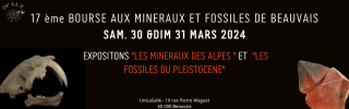 Bourse aux minéraux et fossiles de Beauvais.