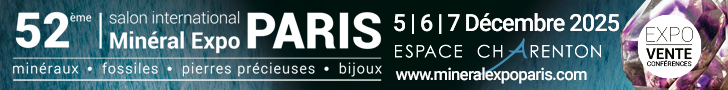 Bourse minéraux à Paris, avec fossiles et gemmes.