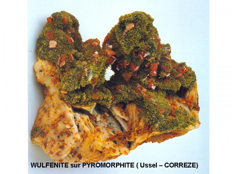 Wulfénite et pyromorphite de la mine des Farges près d'Ussel (Corrèze).