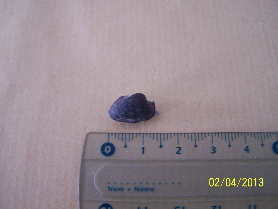 post-10470-0-87346500-1364926420_thumb.j