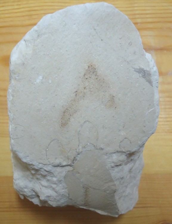 post-11439-0-83889700-1395774610_thumb.j