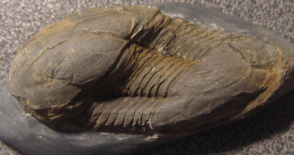 post-129-1140284006_thumb.jpg