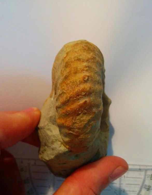 post-15495-0-92706700-1430040429_thumb.j