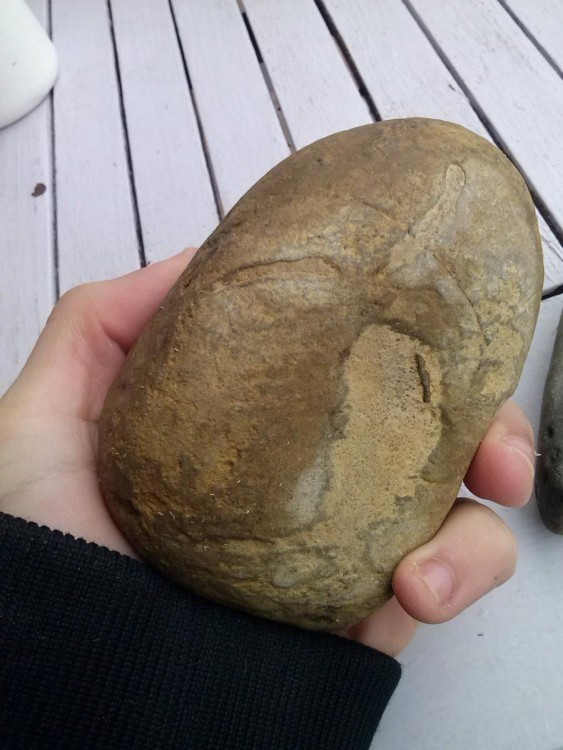 post-15824-0-04057100-1370372688_thumb.j