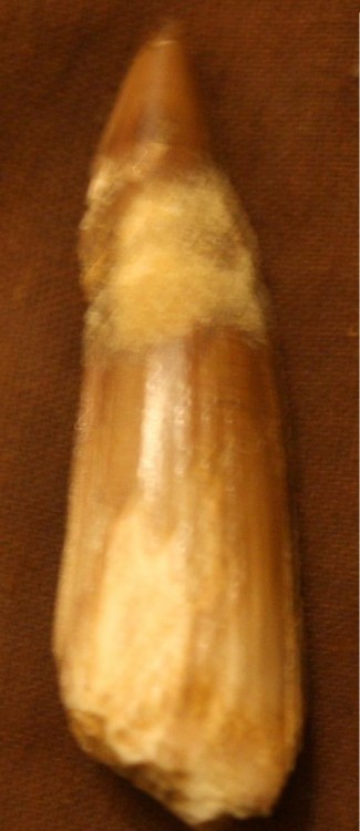 post-16409-0-51696700-1371156758_thumb.j