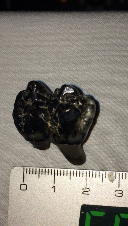 post-20392-0-85254500-1399930909_thumb.j