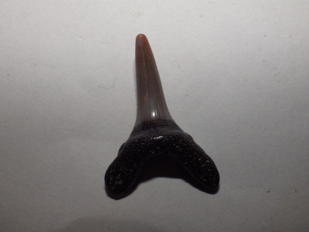 post-20707-0-34564700-1427143253_thumb.j