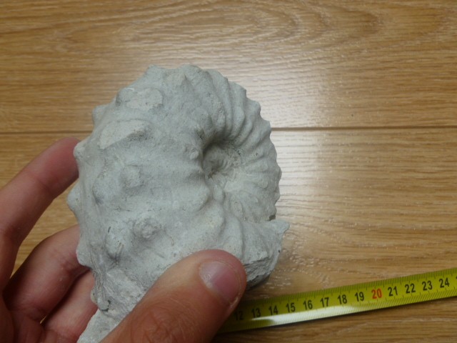 post-20707-0-60979300-1405941128.jpg
