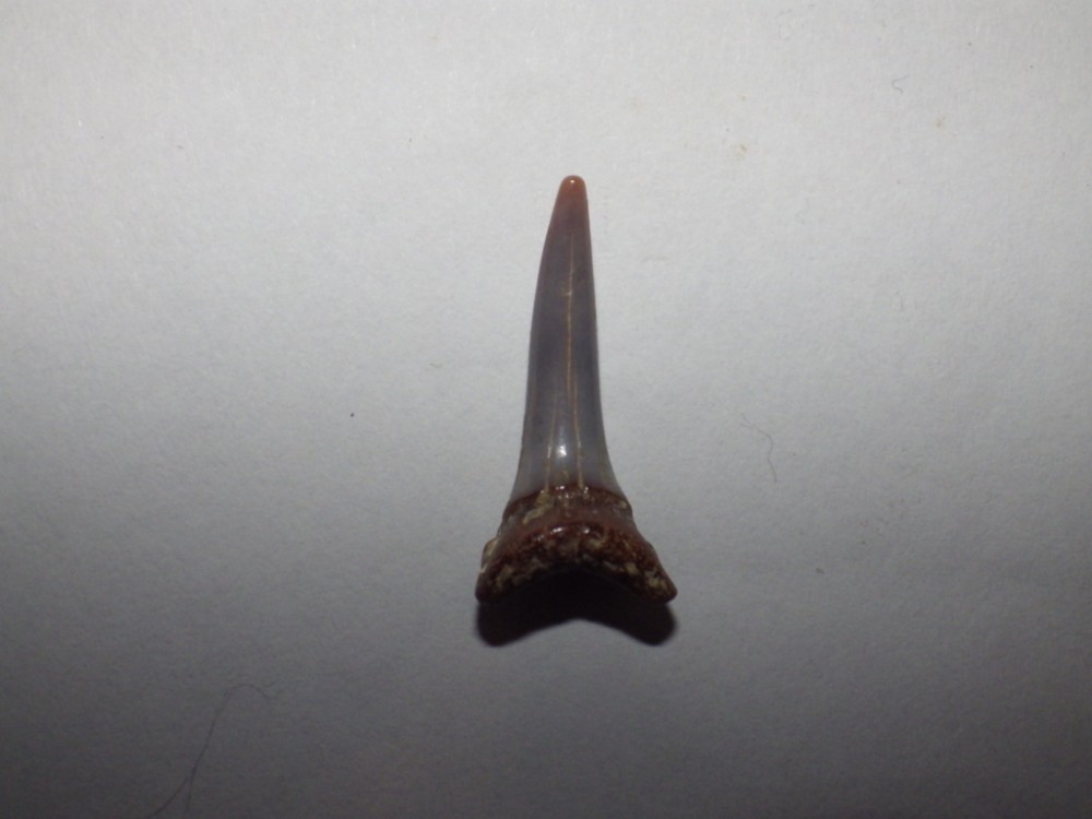 post-20707-0-72091700-1427143053_thumb.j