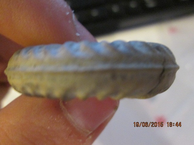 post-20716-0-11878900-1434736617.jpg
