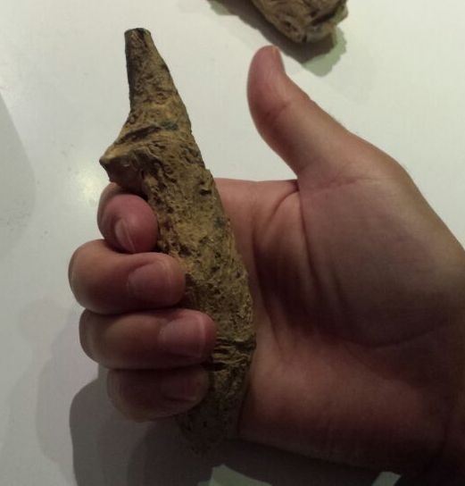 post-22538-0-44034700-1437257001_thumb.j