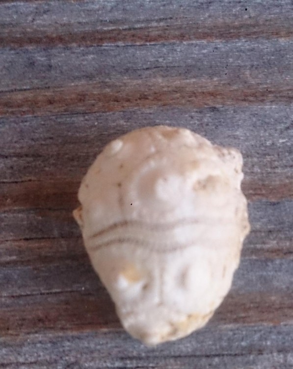 post-22764-0-82696700-1441122567_thumb.j