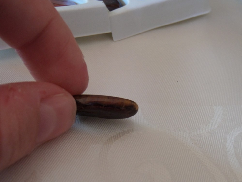 post-22909-0-58514200-1445864909_thumb.j