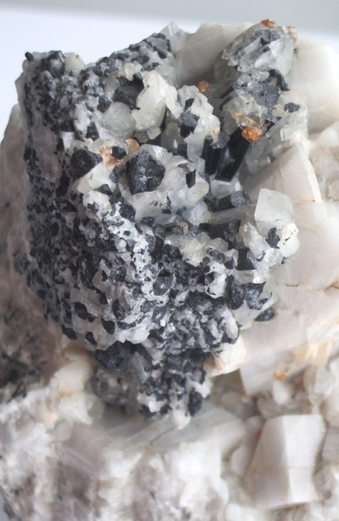 post-2601-0-68174800-1377346409_thumb.jp