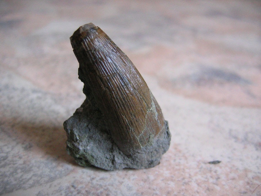 post-6-1138468660_thumb.jpg