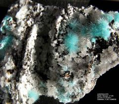 Aurichalcite (Ojuela - Mexique)