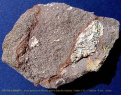 Tuf volcanique - Cinérite (Cantal)