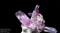 Quartz Var. Améthyste (Las Vigas - Vera Cruz - Mexique)